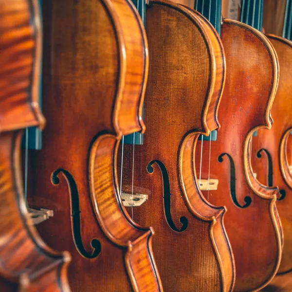 Violins standing in a row